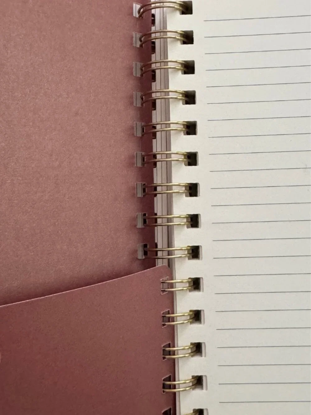 Studio Oh! Organized Chaos Agatha Notebook Cinnamon Brown Spiral Journal NEW